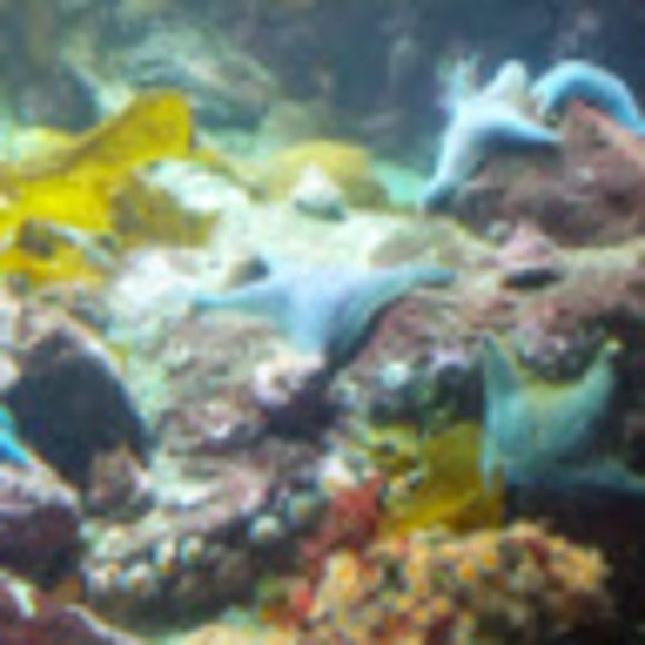 Meet your Posher, Jo - Picture 1 of 1